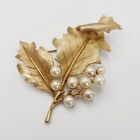 Vintage Crown Trifari Pearl Curled Leaf Branch Floral Brushed Gold Tone Brooch