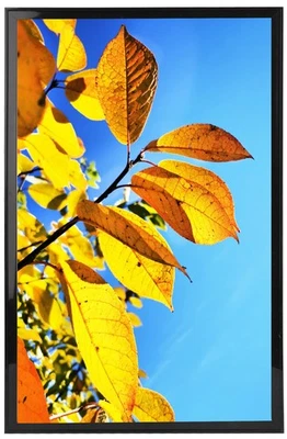 Marco de póster 12x18, galería de estudio 12x18 marcos de fotos, para collage de pared foto... Foto 1 de 4