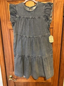 Altar’d State Women’s Large Baby Doll Tiered Blue Denim Dress - New - Picture 1 of 10