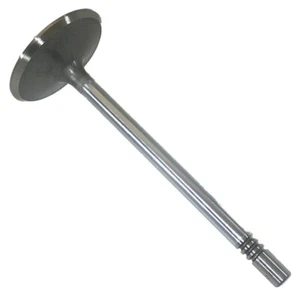 Válvula de admisión de motor Borg Warner tracción delantera i-2388 para Ford 4,6L 5,4L 6,8L (Triton) - Imagen 1 de 2