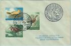 67712 - SAN MARINO - POSTAL HISTORY -  Special postmark on COVER 1960 swimming
