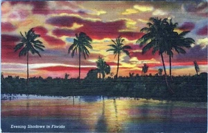 Evening Shadows in Florida Postcard Camp Blanding to Pa 1944 Posted - Bild 1 von 2