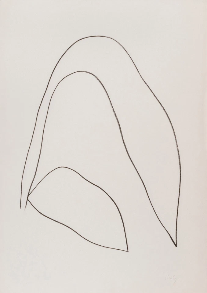 Impresión artística de calidad de archivo Ellsworth Kelly: hojas (feuilles) 22x30 Foto 1 de 1