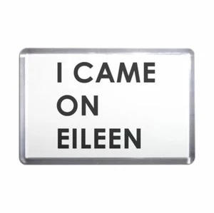 I Came On Eileen Plastic Fridge Magnet (S, M, L, XL) - Picture 1 of 10