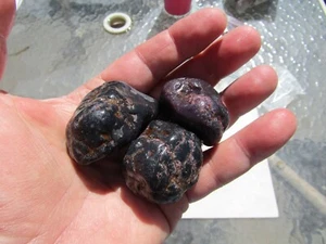 Wunderschöne seltene (3) Stk. Lot. Stern Granat Kristalle 260 Gramm!!!Schön - Bild 1 von 6