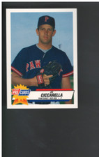 B3144 - 1993 Fleer/Procards Minors BB Group12 Card - Si Pick- 10 + Free US Ship