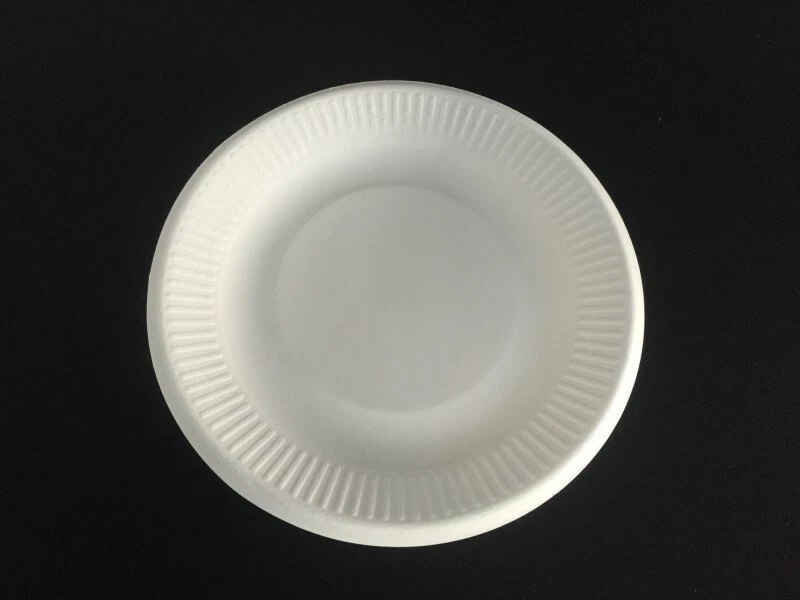 Bio Geschirr 16 cm Teller P-12/50 Einweggeschirr - Bild 1 von 1