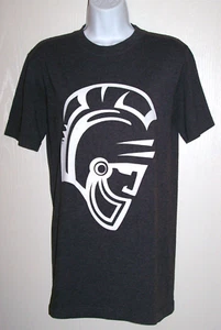 CAMISETA SPARTANS Talla S Gris - Imagen 1 de 5