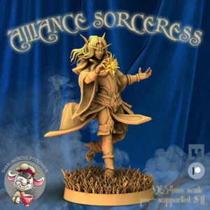 Female Elf Sorceress Sculptooner Miniatures 3D Printed 32mm RPG D&D pathfinder - Picture 1 of 4