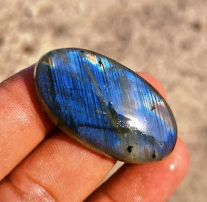 1 Pcs Natural Flashy Labradorite Rainbow Fire 62 Cts Cabochon Loose Gemstones - Picture 1 of 5