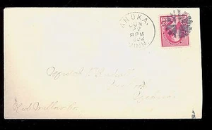Anoka MN 1892 elegante cancelación en cubierta condado de Anoka MN1384 - Imagen 1 de 2