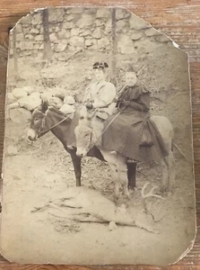 Antique Cabinet Card Photo Women Deer Hunting Mules Donkeys - Picture 1 of 6