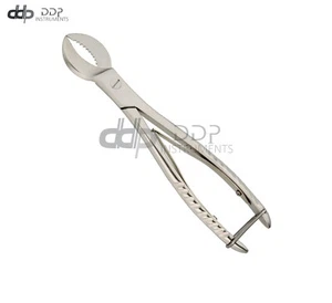 1 Pc New Dental Lab Plaster Scissors Cutting Pliers Shears 6'' Surgical Instru - Picture 1 of 3