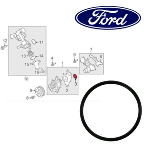 FORD OEM 11-24 EXPEDITION KÜHLWASSERPUMPE - WASSERPUMPE O-RING BR3Z8527A - Foto 1 di 1