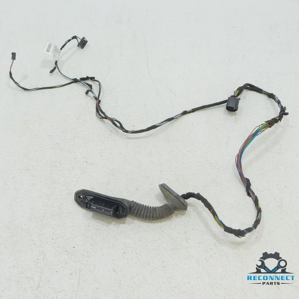 BMW 335i xDrive E90 2011 puerta trasera derecha cableado cable arnés telar fabricante de equipos originales Foto 1 de 4