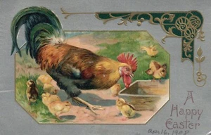 1908 John WInsch Rooster Chicks at water trough Easter Postcard - Picture 1 of 2