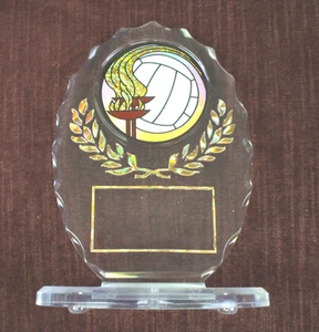 VOLEIBOL Antorcha Trofeo Acrílico Premio Ovalado - Imagen 1 de 1