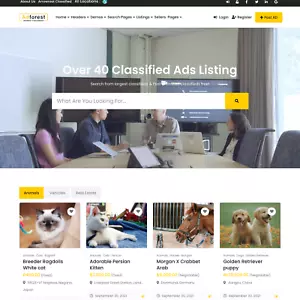 Klassifiziertes Marktplatz-Webdesign mit kostenlosem 5 GB VPS-Webhosting - Bild 1 von 5