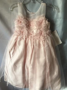 Isobella and Chloe Girls Light Pink Flower Appliqué Empire Dress Size 4-New - Picture 1 of 7