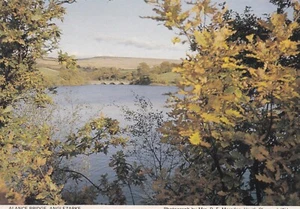 Postcard Alance Bridge Anglezarke nr Chorley Lancashire My Ref ZV - Picture 1 of 2