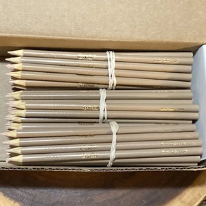(60) Crayola Colored Pencils (khaki) BULK - Picture 1 of 1