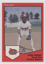 1989 ProCards Minor League Team Sets Pedro Sanchez #127