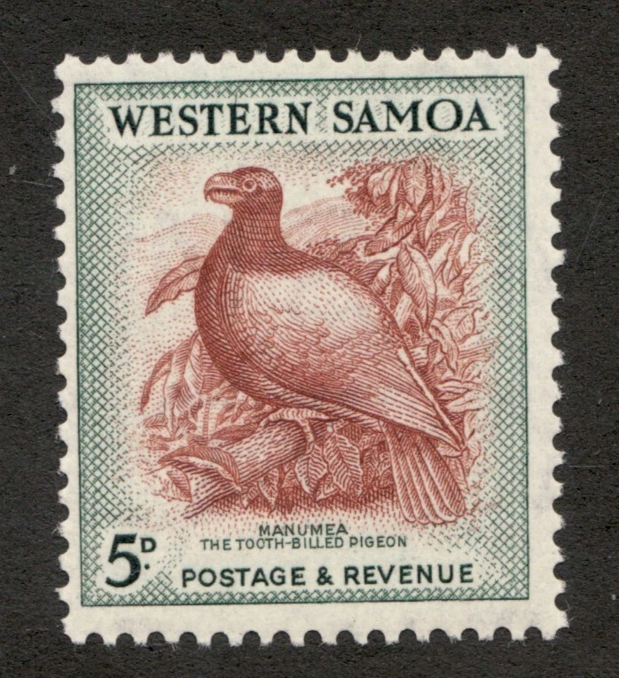 Samoa Occidental 1952 Sc# 207 - 5d, paloma facturada diente de Manumea. Sello MH CV$9,50 Foto 1 de 1
