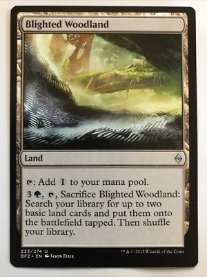 MTG Battle For Zendikar Blighted Woodland 233/274 NM - Image 1 of 2
