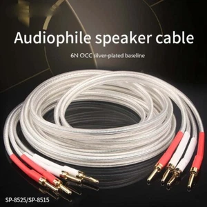 Pair OCC Silver-plated Hifi Speaker Cable High Performance Amplifier sound Line - Picture 1 of 7