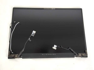 LCD Screen Dell 80YHR Alienware m16 R2 16-inch QHD LCD Screen Assembly - 240Hz - Foto 1 di 1