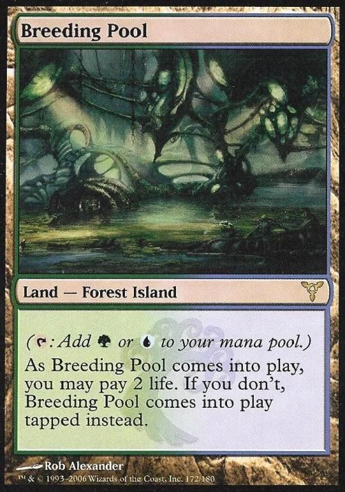 MTG English Breeding Pool NM Foil Dissension - Image 1 of 1