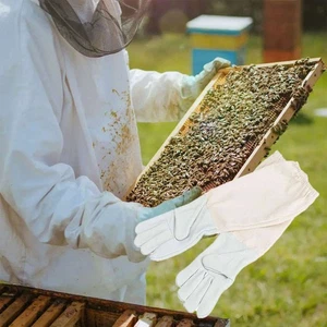 XL Guantes de Apicultura Piel de Cabra, Mangas Largas con Puño Elástico, 1 Par - Imagen 1 de 11