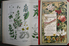 Naturgeschichte des Tier Pflanzen Mineralreiches 1887 Moritz Willkomm