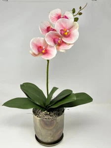 Pianta di fiori in seta 20" ROSA Phalaenopsis ORCHID, 5" fioriera rustica in metallo argentato - Foto 1 di 5