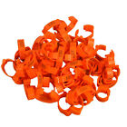 100pcs Chicken Ring Heat-resistant Colorful Duck Chicken Leg Bands Tags Tpu