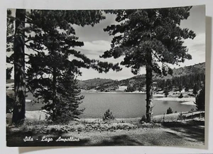 69011 Cartolina - Catanzaro - Sila - Lago Ampollino - VG 1962 - Picture 1 of 2