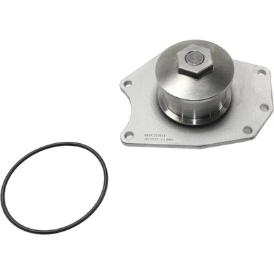 Bomba de agua 300 Chrysler Pacifica para Dodge Intrepid 300M Concorde LHS 4792195AB Foto 1 de 4