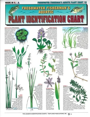 Freshwater Aquatic Plant Identification Chart #12  Waterproof Guide - Image 1 of 2