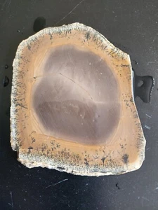 Jasperoidgestein mit Dendriten Filsole Italien Lapidarplatte 70 Gramm - Bild 1 von 11