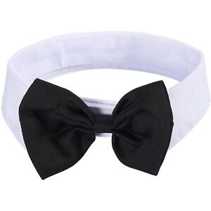 Dog Bow Tie Collar for Small and Medium Sized Cat Pet Puppy Kitten, 15 In Girth
