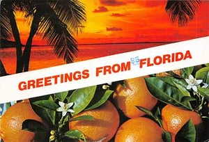 us7095 greetings from florida usa - Picture 1 of 2