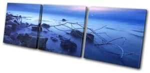 Belle brume de roches bleues coucher de soleil paysage marin toile aigus art mural impression d'images - Photo 1/1