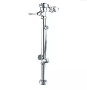 Sloan Royal BPW 1000 SG Bedpan Washer Flushometer - Picture 1 of 6