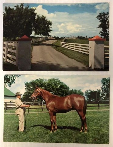 Vintage 2 Blank Postcards Horse Racing Racehorse Kentucky Keeneland Calumet Farm Cover