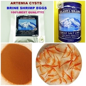 Best Brine Shrimp Egg Artemia Cysts 95% ALASKA USA PREMIUM High Quality - Picture 1 of 6
