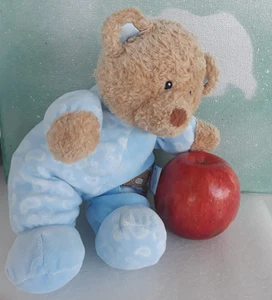 Gund Paisley Baby Collection ~ blau/hellbraun Bär Rassel 58267 Plüschtier 9 Zoll ~ sehr schön - Bild 1 von 12