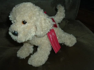 Travis Hund von Douglas - Bild 1 von 1