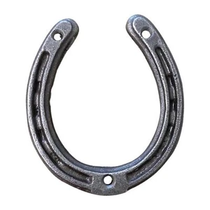 Decorative Cast Iron Horseshoe | cast iron decorative wall door decor - Picture 1 of 7
