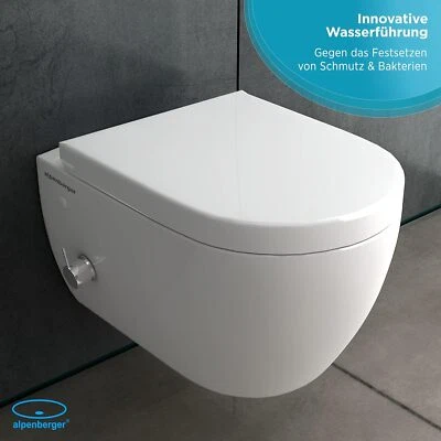 Hänge WC Spülrandlos Dusch Toilette Spülkasten Vorwandelement WC Set Komplett  - Bild 1 von 4