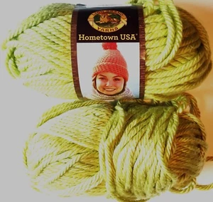 Lote de 2 - Hilados Marca León Ciudad Natal EE. UU. #194 MONTEREY LIME 5 oz. Tejido/crochet - Imagen 1 de 5